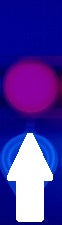 Art Factory | Rainbow Neon Body Glitter - Neon Purple (1oz jar)