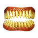Dental Distortions | FX Fangs 2.0 - RAPTOR TEETH VENEERS