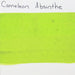 Cameleon - Baseline Absinthe 30gr (BL3020) SWATCH