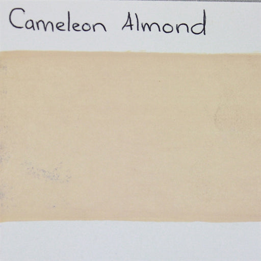 Cameleon - Baseline Almond 30gr (BL3022) SWATCH