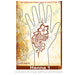 Show Offs Body Art | Kim Brennan Henna Face and Body Painting Stencil - Henna Hand Design #1